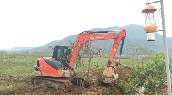 圖片9